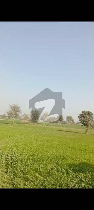 Agricultural Land For Sale Situated In Old Harapa Road