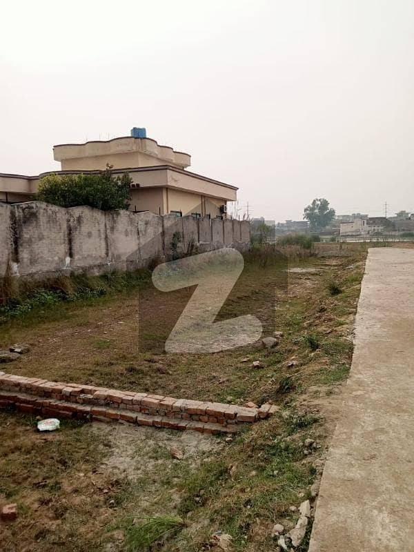 5 Marla Residential Plot In Shadiwal Road