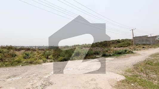 Misryal Road Residential Plot Sized 6 Marla Is Available