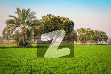 سمندری روڈ فیصل آباد میں 1 کنال زرعی زمین 2.0 کروڑ میں برائے فروخت۔