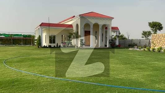 5Kanal Luxury Furnished Farm house Available at good price