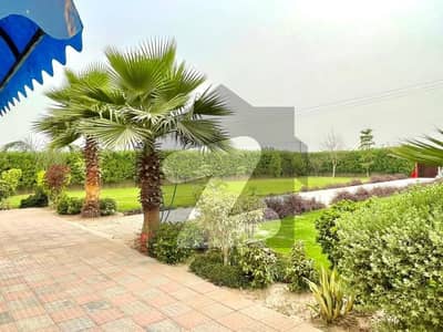 corner farmhouse land for sale on hot loction of bedian road next to DHA phase 7