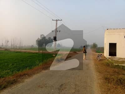 12 Kanal Land For Sale In Maloke Kasur With 300 Feat Front