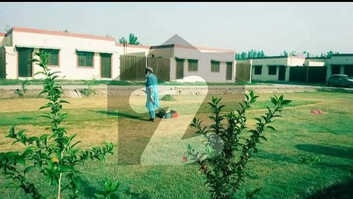 صفیا هومز ورسک روڈ,پشاور میں 2 کمروں کا 5 مرلہ مکان 57.0 لاکھ میں برائے فروخت۔