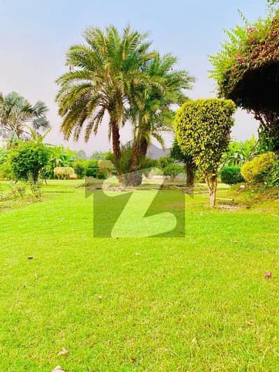 8 Kanal Land For Sale Bedian Road Lahore