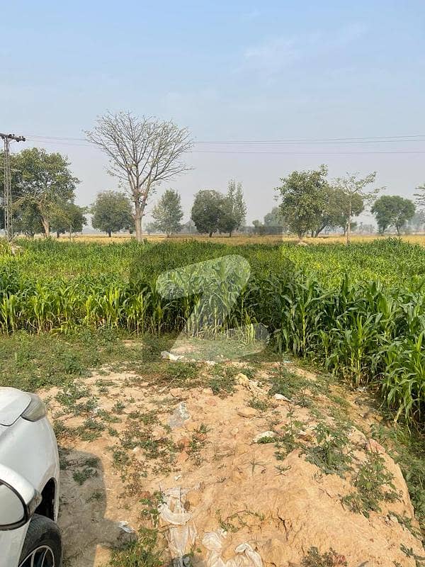 بیدیاں روڈ لاہور میں 160 کنال زرعی زمین 40.0 کروڑ میں برائے فروخت۔