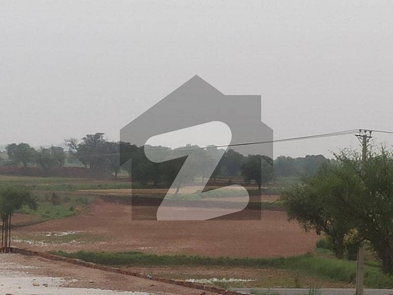 20 kanal Agriculture land for sale near Chakri