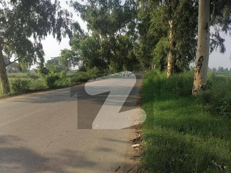 بیدیاں روڈ لاہور میں 6 کنال رہائشی پلاٹ 3.3 کروڑ میں برائے فروخت۔
