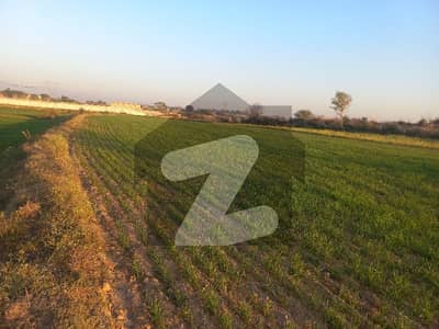 19 Kanal Agricultural Land For Sale Opposite Bahria Town Phase 8