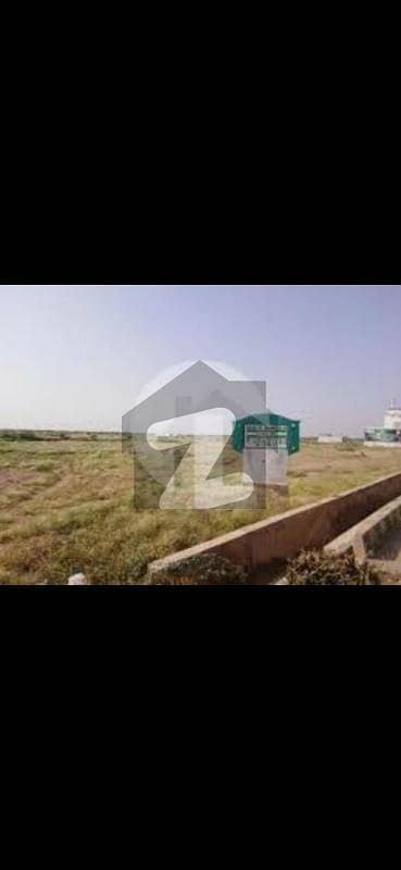Sector 11 80 Yards Plot For Sale