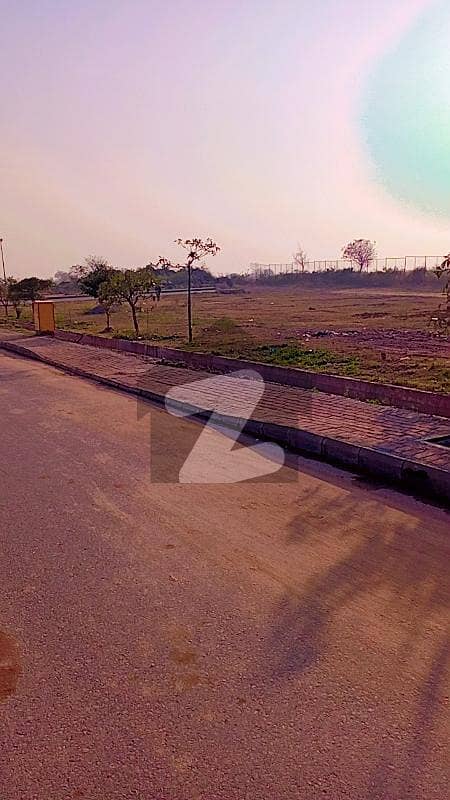 8 Marla For Sale Investor Rate Good Location Solid Land
