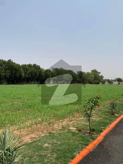 1 Kanal Farm House For Sale Bedian Road Lahore