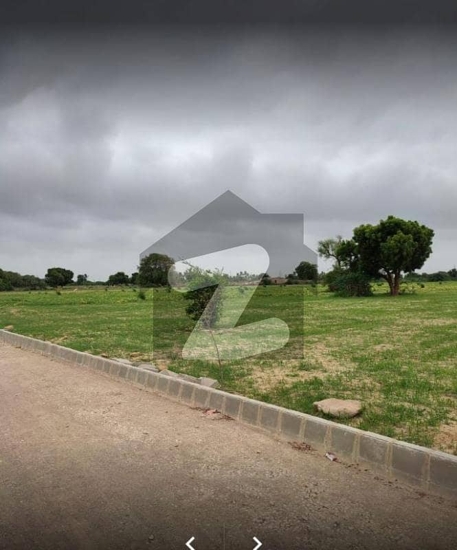 Al Jadeed Mewa Garden Plot Al Jadeed Mewa Garden Plot