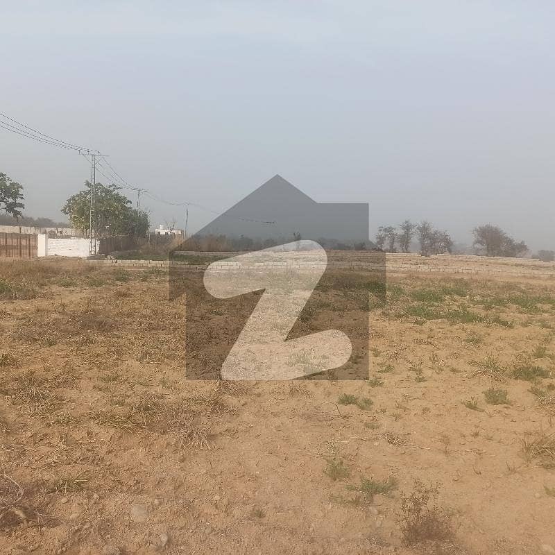 2 Kanal Agriculture Land For Sale Best For Farm Houses