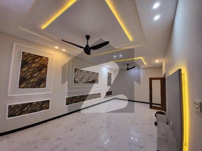 14 Marla New Luxury House (Original Pics) For Rent in Sector G-11