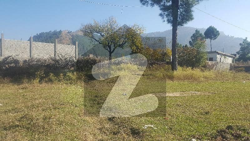 1 Kanal Plot Available For Sale At Bilqias Town Abbottabad