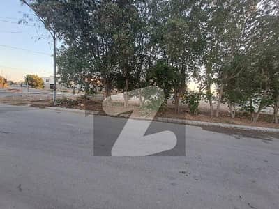 20th street and Qasim non corner 50x90 clear plot another on Kh-Tariq near Kh-Hafiz 45x100