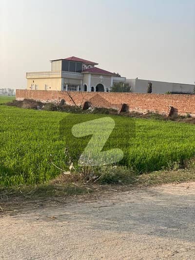 بیدیاں روڈ لاہور میں 16 کنال زرعی زمین 3.2 کروڑ میں برائے فروخت۔