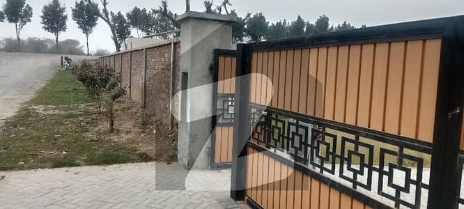 بیدیاں