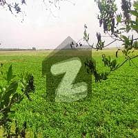 25 Acre Fully Agriculture Land For Sale Near Khurianwala Faisalabad