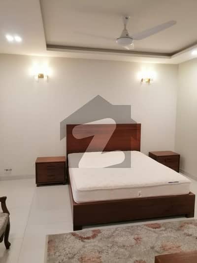 1 Bedroom Furnished Lower Portion For Rent