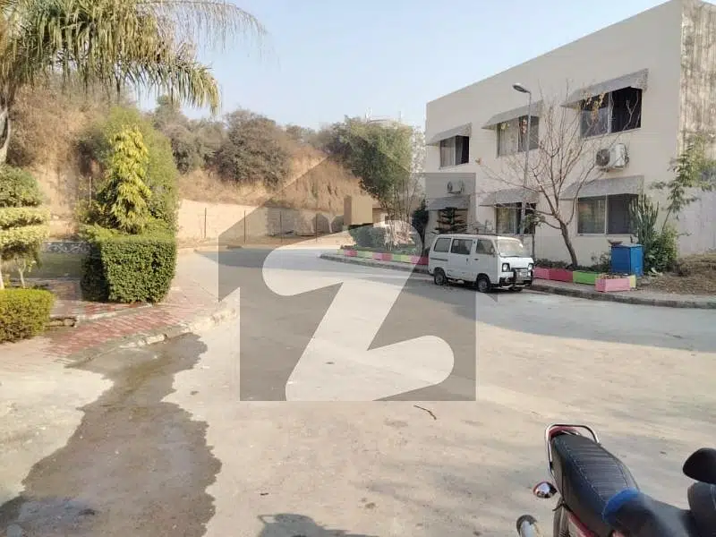 Safari Homes 8 Marla House For Rent With Basement 6 Bedrooms In Bahria Town Phase 8