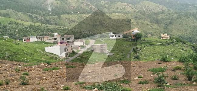 5 Marla Plot For Sale In Sector F Township Abbottabad