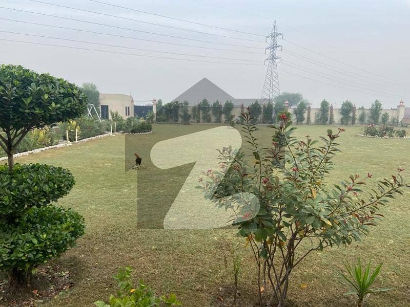 10.5 Kanal Beautiful And Lavish Farmhouse In Multan Road Mohlanwal Stop Lahore