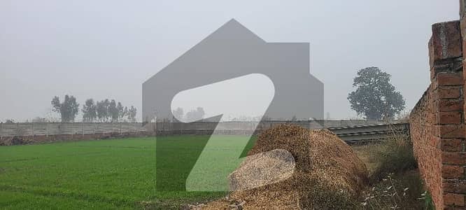 12 Kanal Land For Industrial &Amp; Farm House At Sue Asel Road