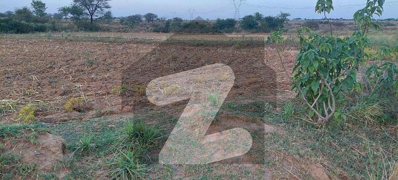 My Own Agricultural Land 100 Kanal For Sale Near New International Airport Islamabad