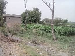 5 Marla Plot For Sale In Cheap Price In Hussianabad