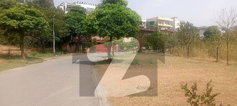 Out Class Location Back Open Kanal Plot Available For Sale In DHA 1 Sector D