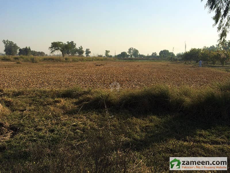 Land On Main Gt Road Near Wazirabad For Investment Or Commercial Use