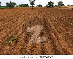 32 Kanal Agricultural Land for sale in Raja Jang Kasur in very cheap price.