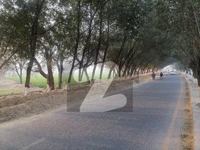 23 Marla Commercial Plot In Airport Road