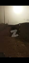 1 1