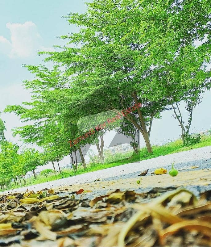 North Facing Plot | Sector 3D2 | Ideal Location For HOUSE North Facing Plot | Sector 3D2 | Ideal Location For HOUSE
