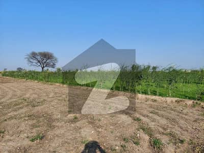 64 Kanal Agricultural Land Available For Sale