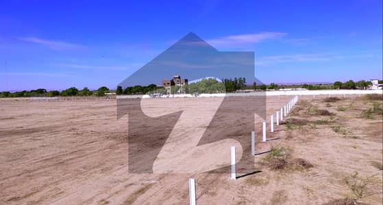 EXCLUSIVE SURVEY LAND FOR SALE