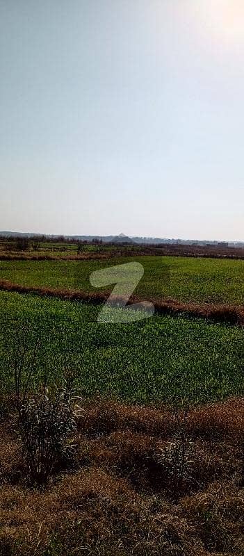Good 72000 Square Feet Agricultural Land For sale In Neela Dullah