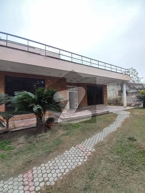 2 Kanal Independent Single Story House Available For Office