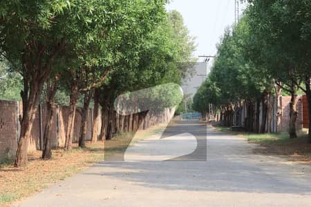 بیدیاں روڈ لاہور میں 1 کنال زرعی زمین 32.0 لاکھ میں برائے فروخت۔