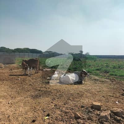 1000 Square Yard Farm House Plot Available On Best Price