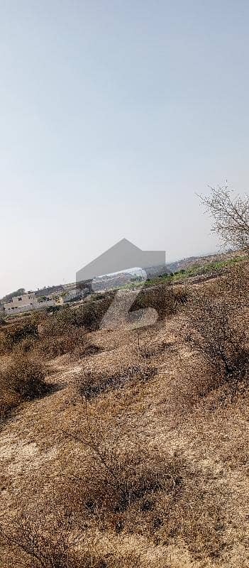 120 Knal Agriculture Land For Sale In Nella Dullah