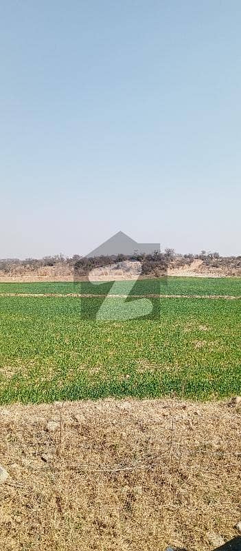 330 Knal Agriculture Land For Sale In Dullah