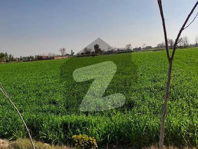 112 Kanal Agricultural Land Available For Sale