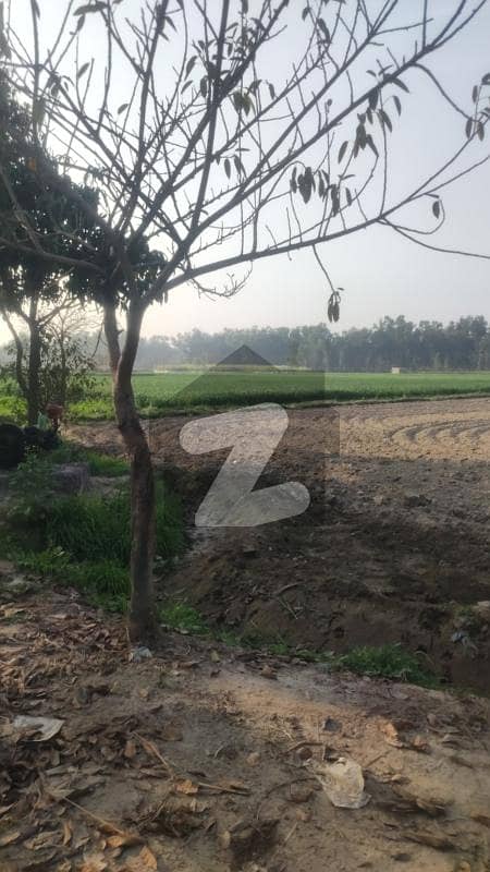 280 Kanal Agricultural Land Available For Sale In Main Raiwind Kasur Road Lahore.