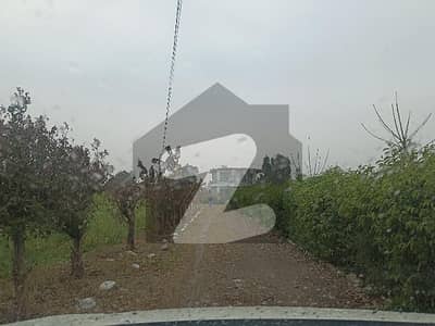 80 Kanal Farm House Land In The Vicinity Of Islamabad Only 25 Minutes Drive