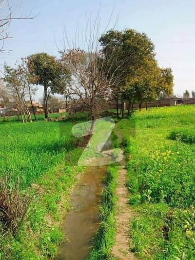 شاہ پور سرگودھا میں 1600 کنال زرعی زمین 70.0 کروڑ میں برائے فروخت۔