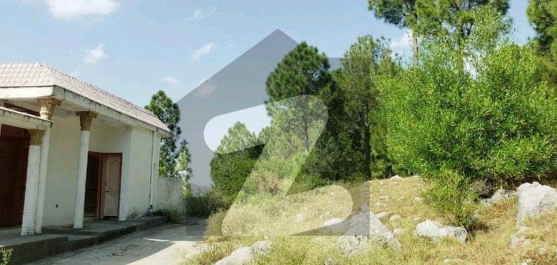Investors Should sale This Prime Location Residential Plot Located Ideally In Pir Sohawa
